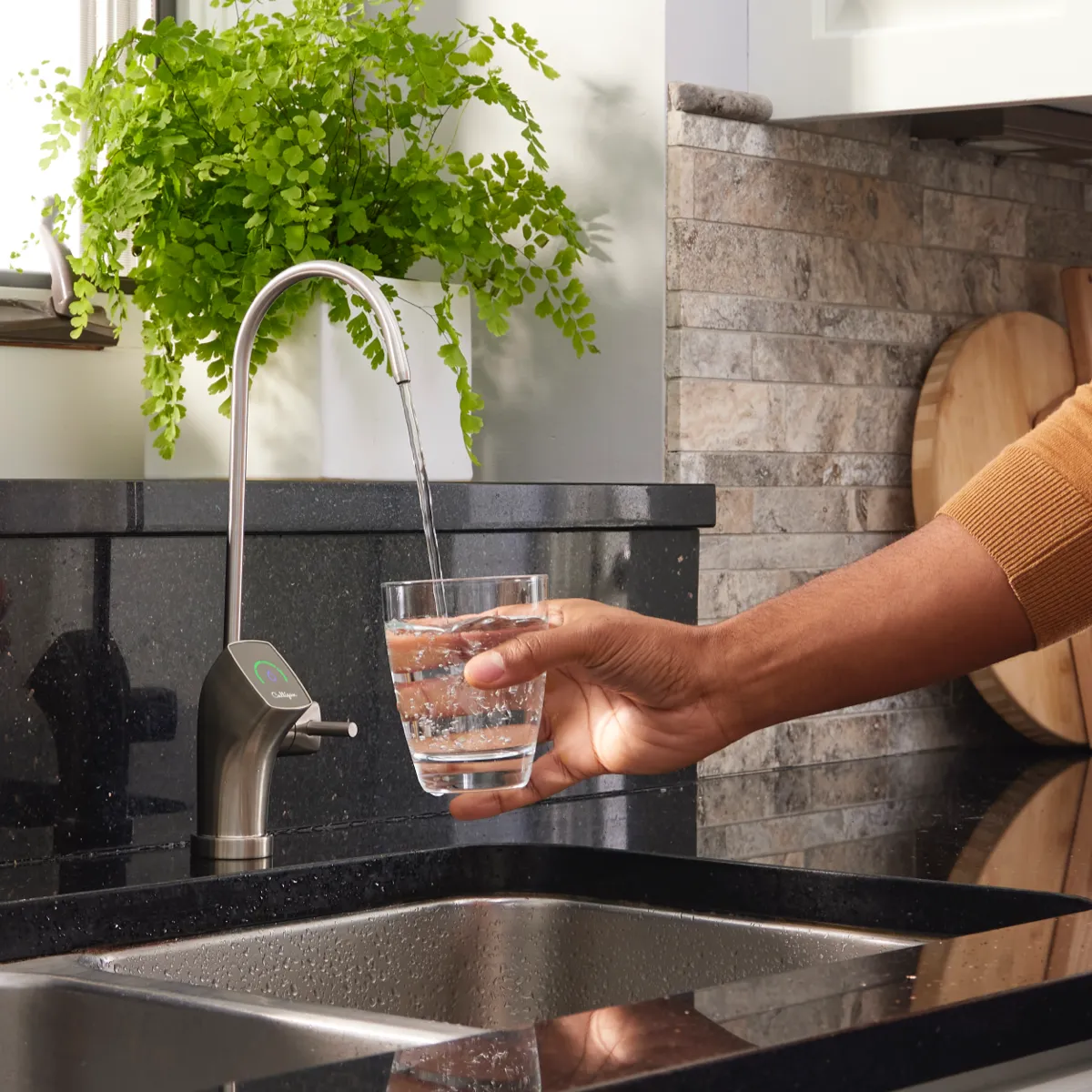 Water treatment specialist inspecting multi-stage home filtration and conditioning setup